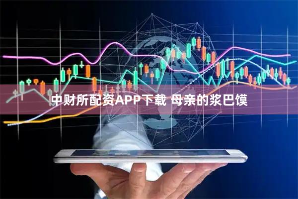 中财所配资APP下载 母亲的浆巴馍