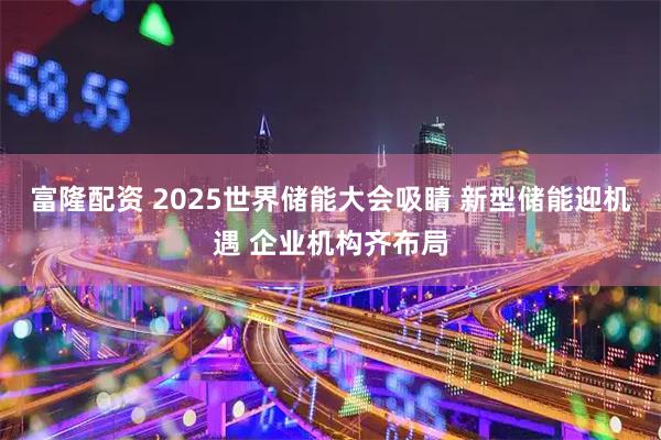 富隆配资 2025世界储能大会吸睛 新型储能迎机遇 企业机构齐布局