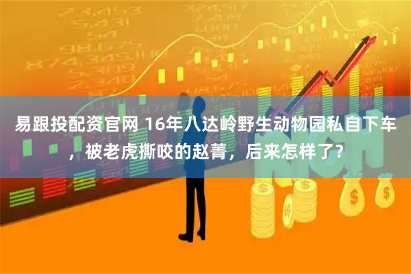 易跟投配资官网 16年八达岭野生动物园私自下车，被老虎撕咬的赵菁，后来怎样了？